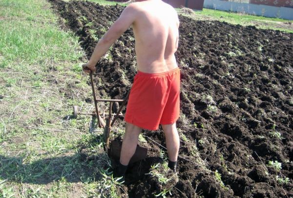 Homemade plow for plowing the land