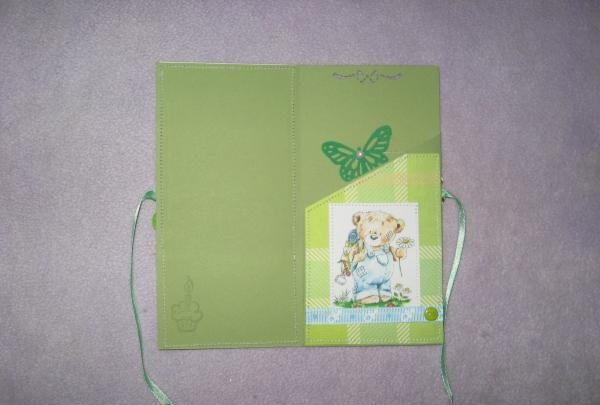 Envelope for a newborn