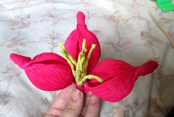 collecting a flower