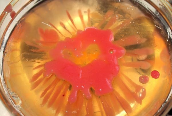 Volumetric flowers in jelly