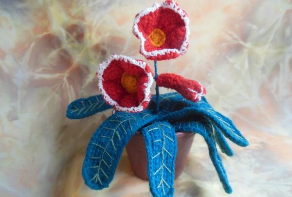 Gloxinia crochet