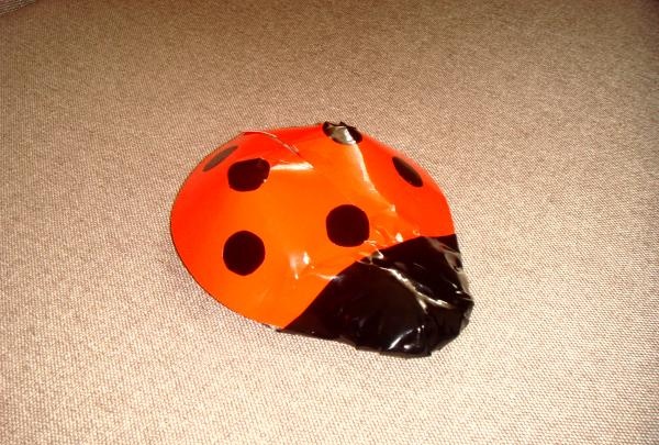 Ladybug