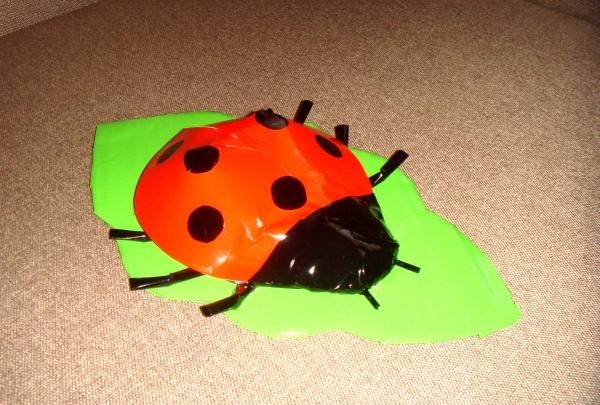 Ladybug