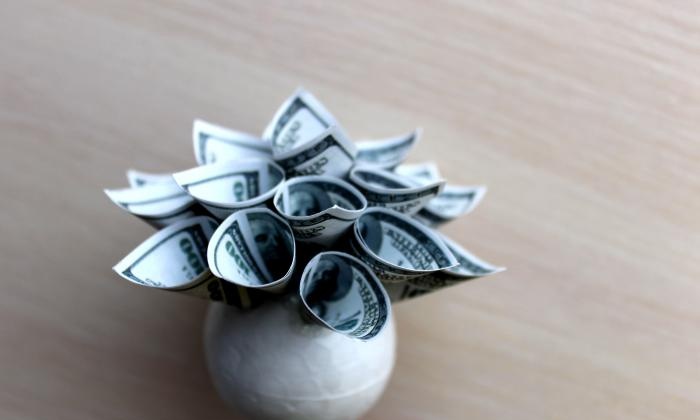 DIY money tree