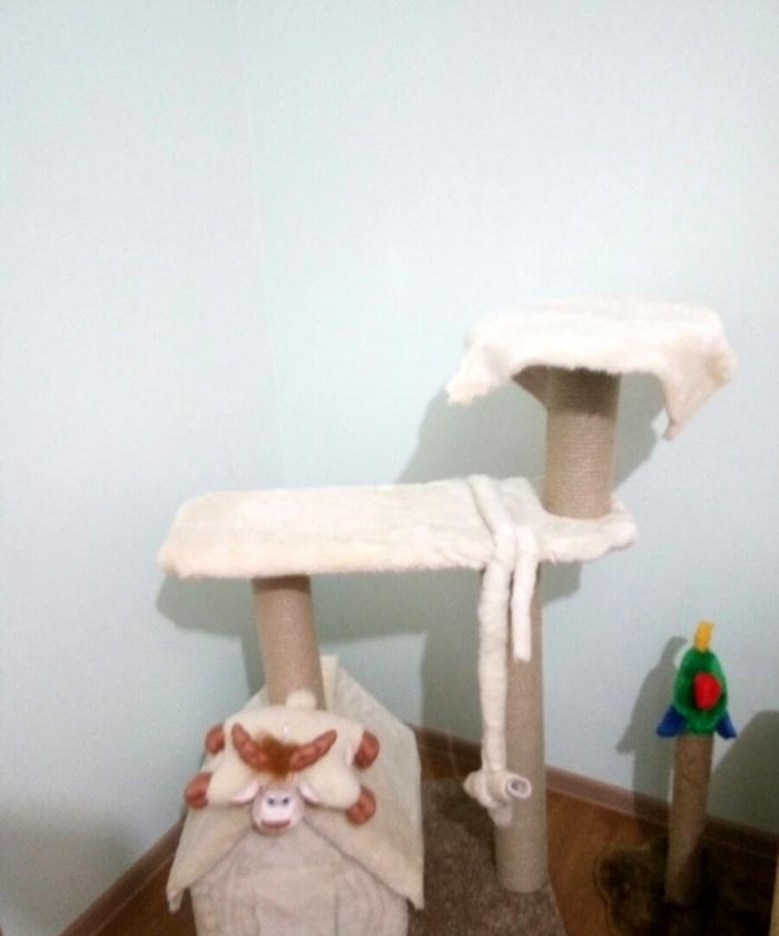 How to make a cat house