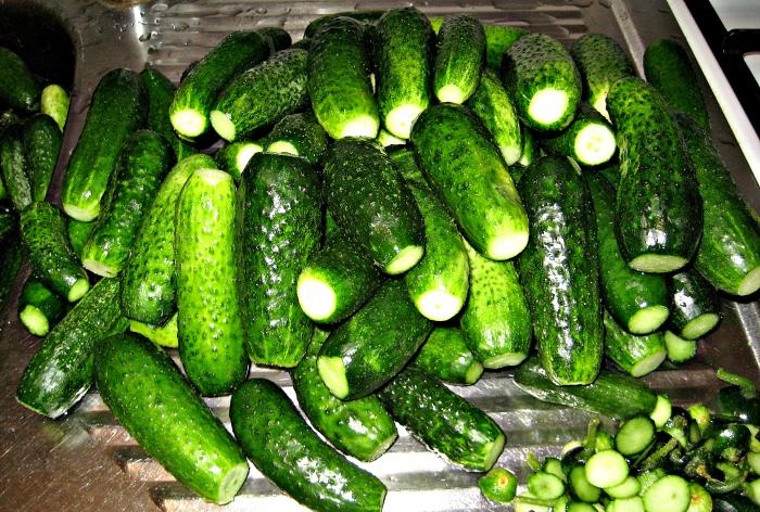 Canning cucumbers