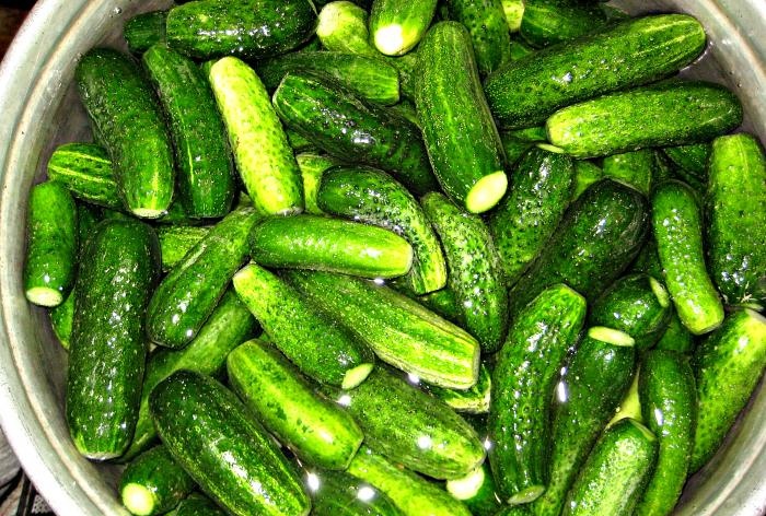 Canning cucumbers