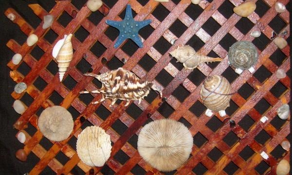 shell wall decoration