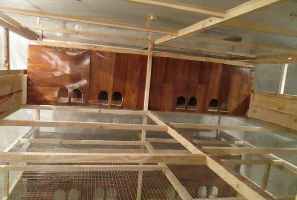 DIY chicken coop