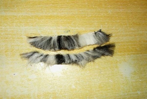 Fur patches