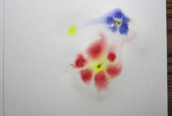 Watercolor flowers