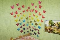 Colorful butterflies