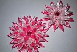 Chrysanthemum