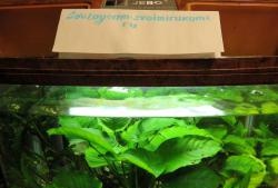 Repairing aquarium lighting