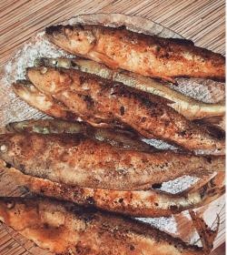 golden smelt