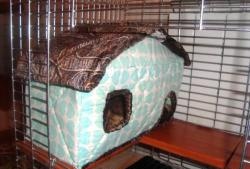 Ferret house