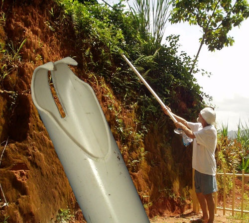 Berry picker