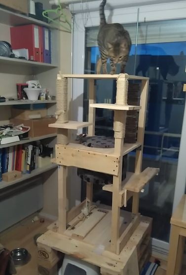 Very tall and durable cat house