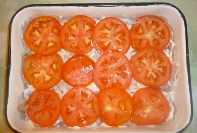 Chicken fillet with tomatoes and cheese