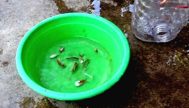 Fishing with a plastic bottle