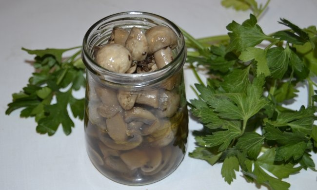 Marinated champignons