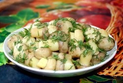 Quick recipe for marinated champignons