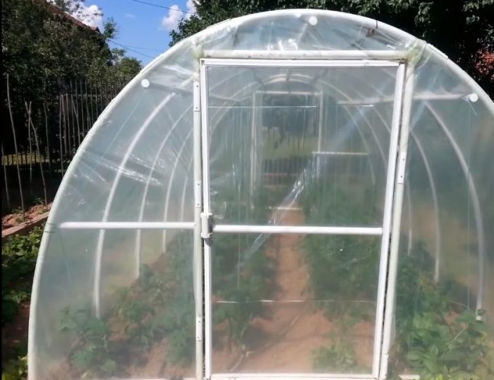 A simple greenhouse made of PVC pipes