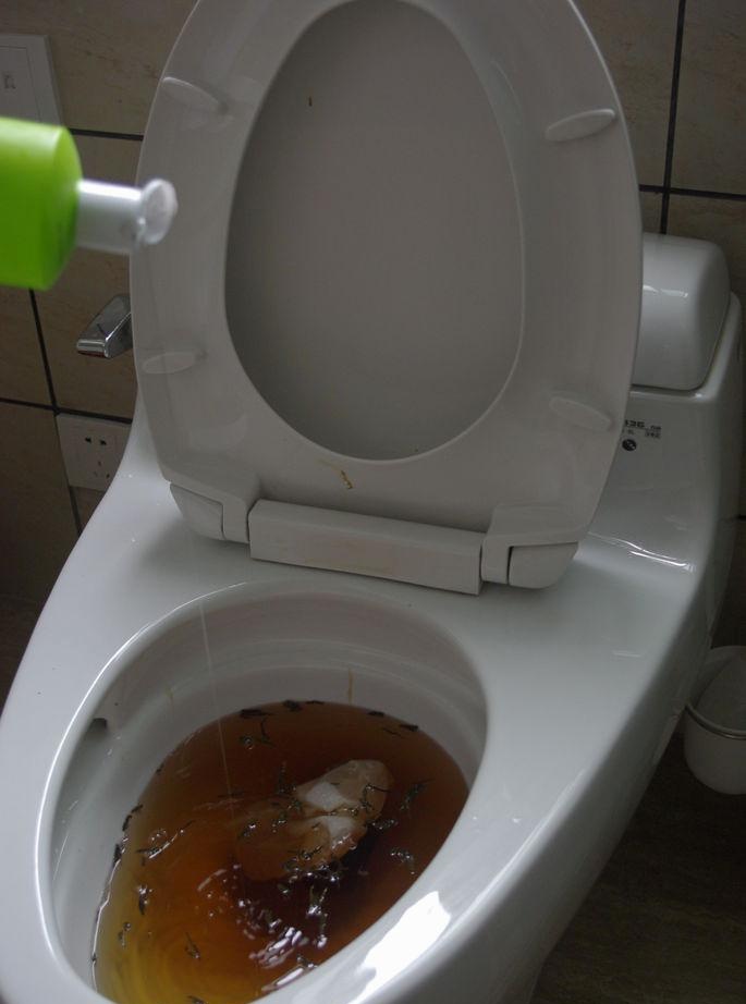 How to unclog a clogged toilet without a plunger