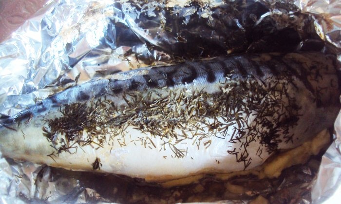 Mackerel baked in foil in the oven