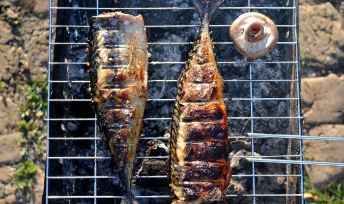 Mackerel on the grill