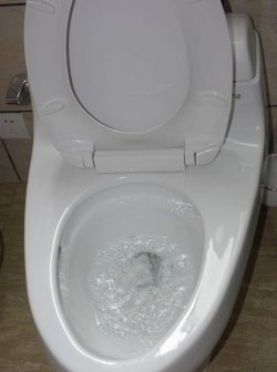 How to unclog a clogged toilet without a plunger