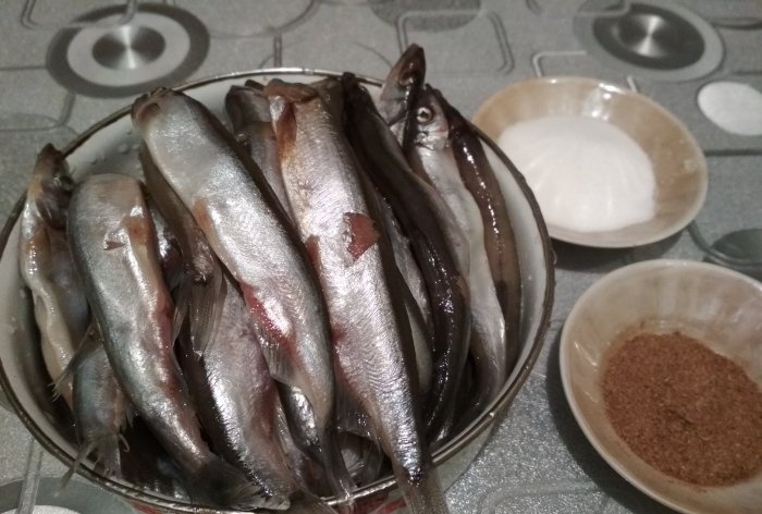 Smoking capelin at home