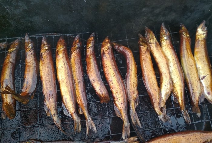 Smoking capelin at home