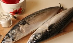 Salted mackerel at home