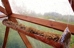 DIY hanging bed in a greenhouse