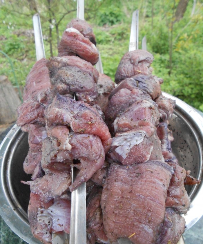 Tender beef shish kebab