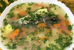 How to deliciously cook crucian fish soup