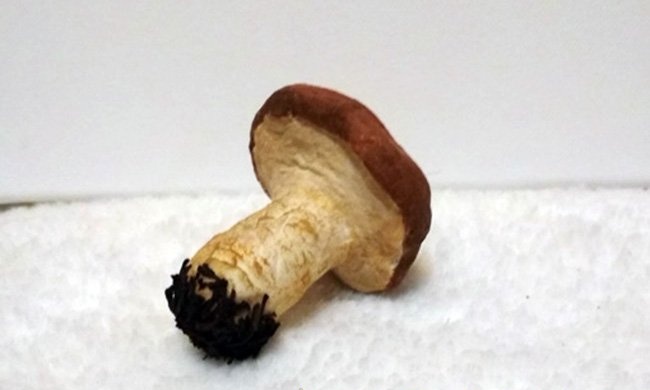 Mushroom on a Christmas tree made of cotton wool