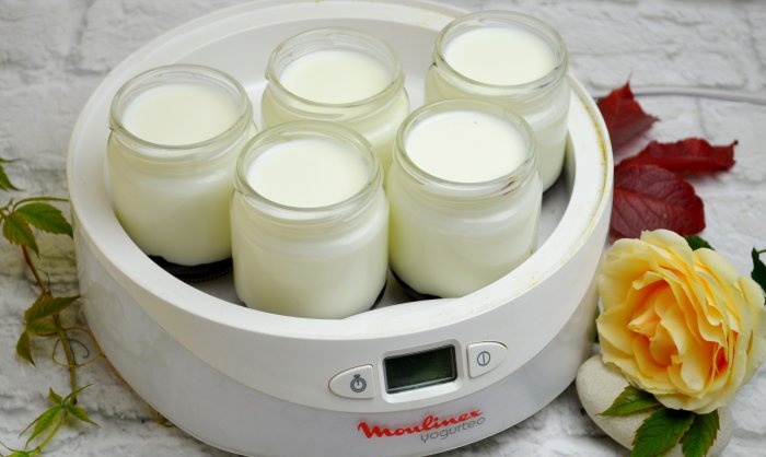 Homemade thermostatic yogurt