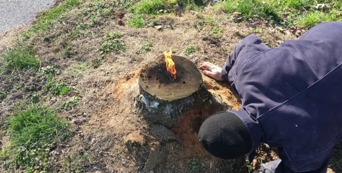 How to easily remove a stump without uprooting