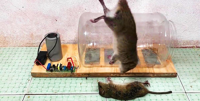 How to make a 12 volt electric trap for mice and rats