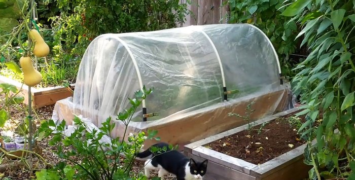 A simple greenhouse made of PVC pipes with your own hands