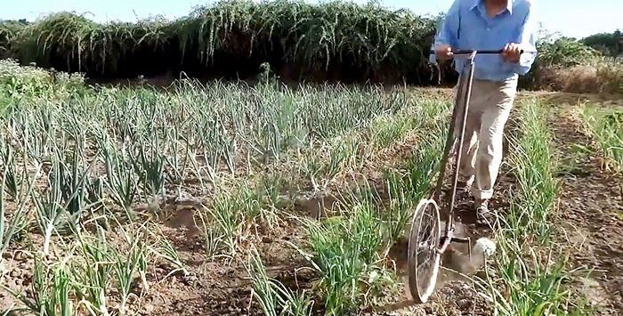 A device for quickly weeding a vegetable garden