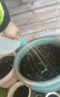 How to make a full-fledged garden watering can from a canister in 2 minutes