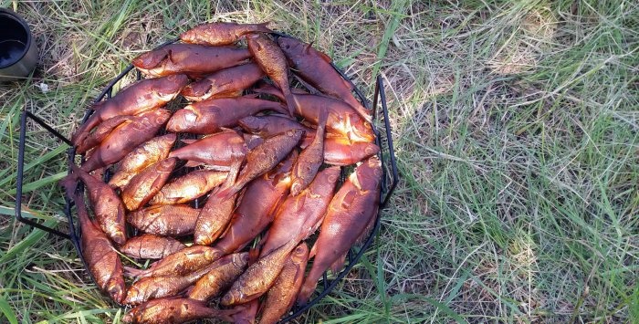 Smoking fish while fishing quickly is simply delicious My report