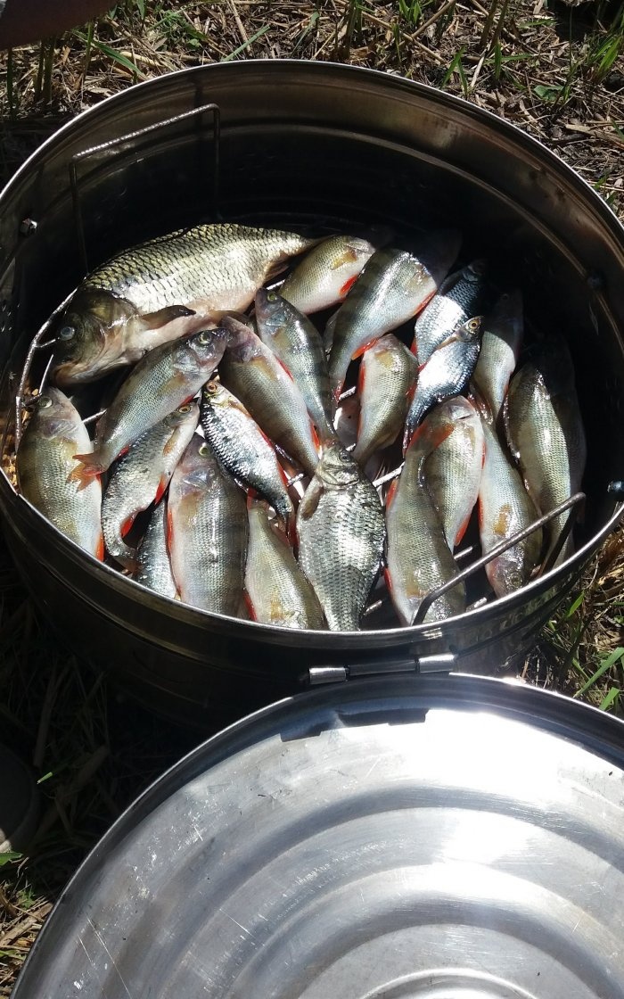 Smoking fish while fishing quickly is simply delicious My report