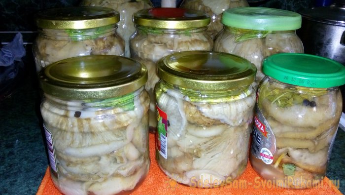 Pickling milk mushrooms step by step recipe