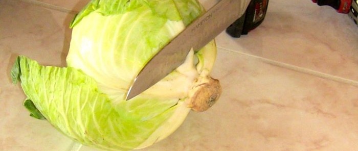 Now I no longer make cabbage rolls without a screwdriver. Men's life hack