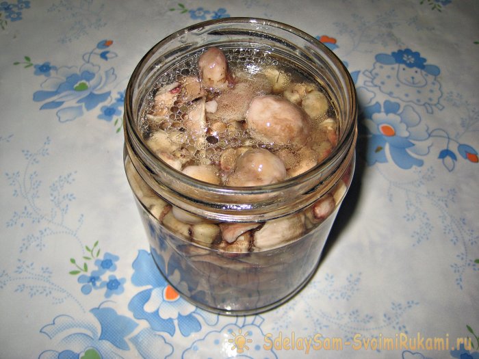 How to pickle boletus