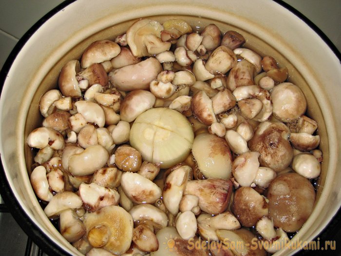 How to pickle boletus